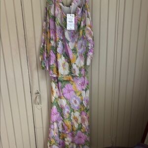 Zara Pink and Green Maxi Dress
